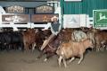 Photograph: Cutting Horse Competition: Image 1997_D-113_14