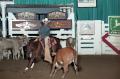 Photograph: Cutting Horse Competition: Image 1997_D-114_23