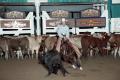 Photograph: Cutting Horse Competition: Image 1997_D-116_28
