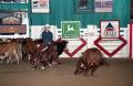 Photograph: Cutting Horse Competition: Image 1997_D-117_12