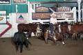 Photograph: Cutting Horse Competition: Image 1997_D-136_17