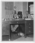 Primary view of [Admiral Chester W. Nimitz and Captain P. V. Mercer in an Office]