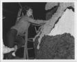 Primary view of [Student constructing North Texas Homecoming float, 1964]