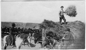 Primary view of object titled 'Pitching Hay'.