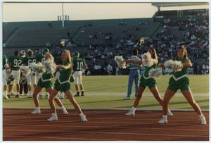 Primary view of object titled '[North Texas Dance Team at the Homecoming Game, 1992]'.