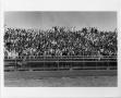 Photograph: [North Texas Football Spectators, 1940s]