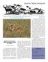 Journal/Magazine/Newsletter: South Texas Wildlife, Volume 16, Number 2, Summer 2012