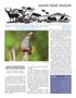 Journal/Magazine/Newsletter: South Texas Wildlife, Volume 18, Number 4, Winter 2014
