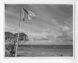 Photograph: [New Caledonia's French Tricolor Flag]