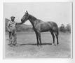 Photograph: [Man Stands With Horse on a Lead]