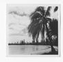 Thumbnail image of item number 1 in: '[Beach on the Isle of Pines, #2]'.