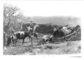 Thumbnail image of item number 1 in: '[Horse Corral]'.