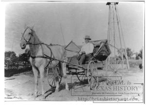 Primary view of object titled '[Man in Buggy]'.