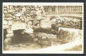 Primary view of object titled '[Alligator Pool]'.