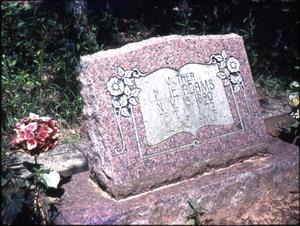 Primary view of object titled '[Grave of Lillie Adams, Marshall]'.