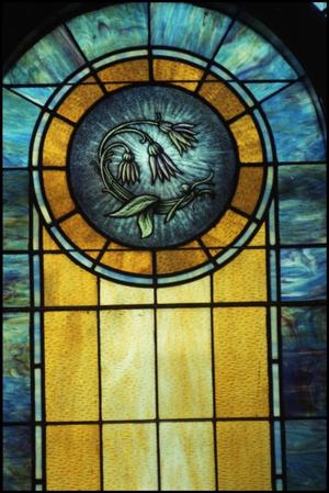 Primary view of [Stained Glass Window Pane of a Mandrake]