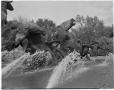 Thumbnail image of item number 1 in: '[Littlefield Memorial Fountain]'.