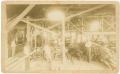Primary view of [Longview Sawmill]