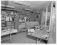 Photograph: [Customer at front counter inside Lammes Candy Store]