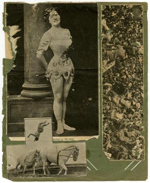 Primary view of object titled '[Sabino Gomez Circus Album]'.