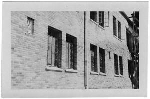 Primary view of object titled 'Kilian Hall windows'.