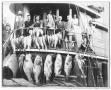 Primary view of [Photograph of Men on a Fishing Boat]