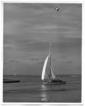 Primary view of object titled '[Boat on Ocean]'.