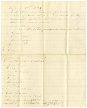 Primary view of object titled '[C. B. Moore taxable property, January 1, 1877]'.