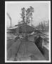 Thumbnail image of item number 1 in: '[Southern Pine Lumber Company Planing Mill and Loading Dock]'.