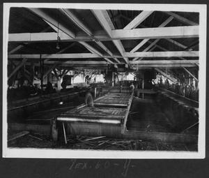 Primary view of object titled '[Southern Pine Lumber Company Sawmill Interior]'.