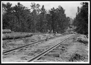 Primary view of object titled '[Right of Way in the Woods]'.