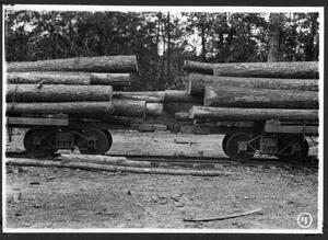 Primary view of object titled '[Loaded Log Cars in the Woods]'.