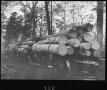 Thumbnail image of item number 1 in: '[Pine Log Cars at Southern Pine Lumber Company Camp 2]'.