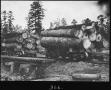 Primary view of [Two Hardwood Log Cars]