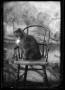 Photograph: [Cat on a chair]