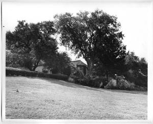 Primary view of object titled '[Photograph of DeGolyer Estate Back View]'.