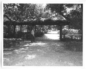 Primary view of object titled '[Photograph of the DeGolyer Estate Garden and an Unidentified Man]'.