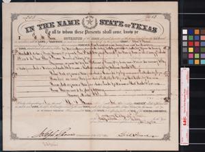 Primary view of object titled '[Land grant] : Austin, [Tex.], 1869 May 29.'.