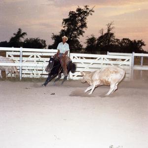 Primary view of object titled '[Mike Rutherford on Horse in Cow Pen]'.