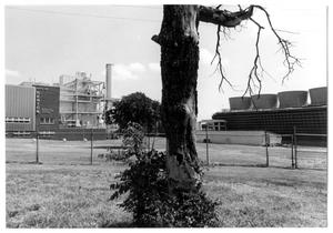 Primary view of object titled '[City of Denton Municipal Generating Station]'.