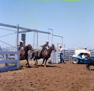Primary view of object titled '[Men Leaving the Gate during Team Roping]'.