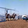 Thumbnail image of item number 1 in: '[Men Leaving the Gate during Team Roping]'.