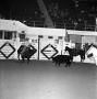 Photograph: [Cutting Horse Extravaganza: Rodeo Elegance in Action]