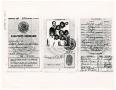 Thumbnail image of item number 1 in: '[Passport for Irene Salce de Urbina and her children]'.