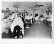 Primary view of [Barbers and Men inside La Preferencia Barber Shop]
