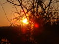 Photograph: [Sunset]