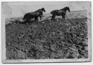 Primary view of object titled 'Horses Plowing Virgin Land'.
