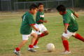 Photograph: [Boys playing soccer]