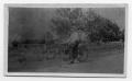 Photograph: [Two Young Men on a Bicycle]