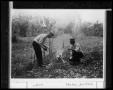 Thumbnail image of item number 1 in: '[Sunday Picnic at Old Danes Campground]'.